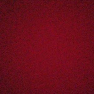 Meet your Posher, Paige